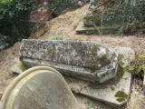 image of grave number 528746